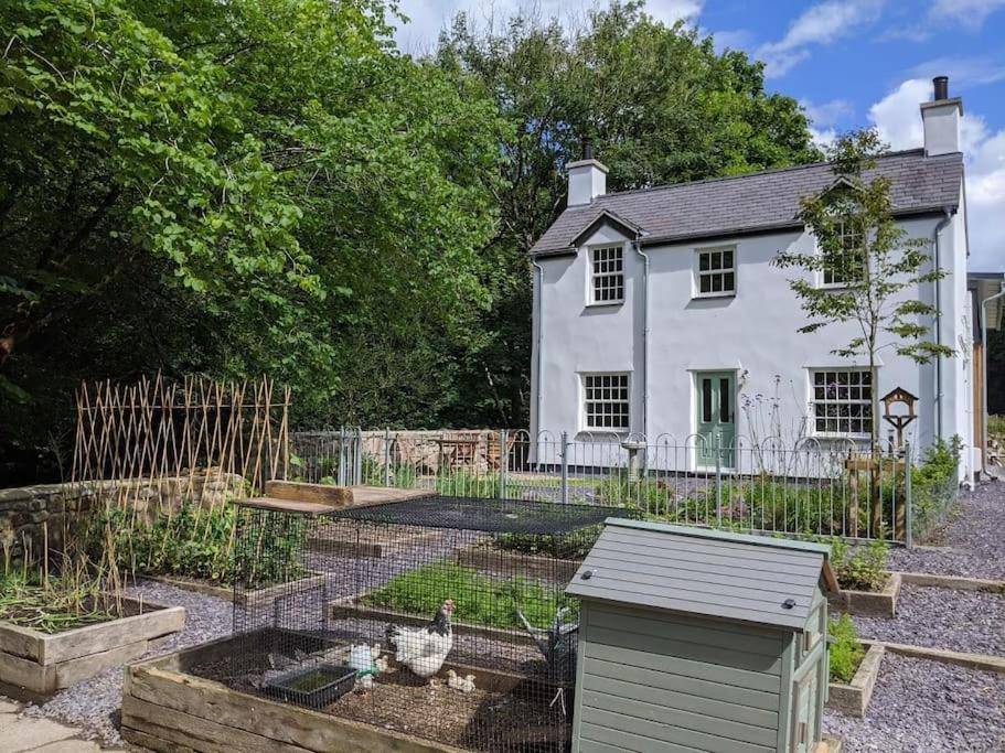 Riverside Cottage Walking Distance Into Caernarfon Bagian luar foto