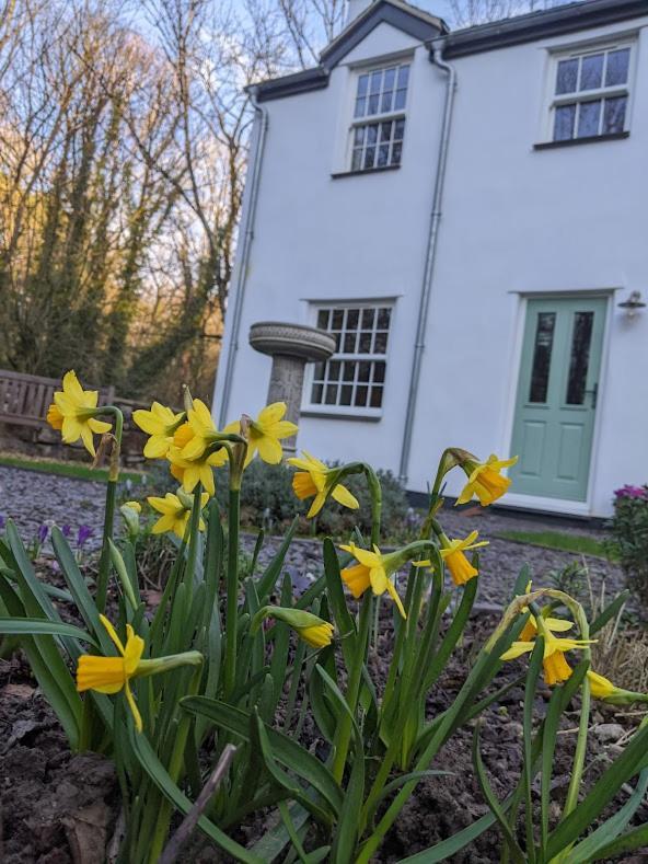 Riverside Cottage Walking Distance Into Caernarfon Bagian luar foto