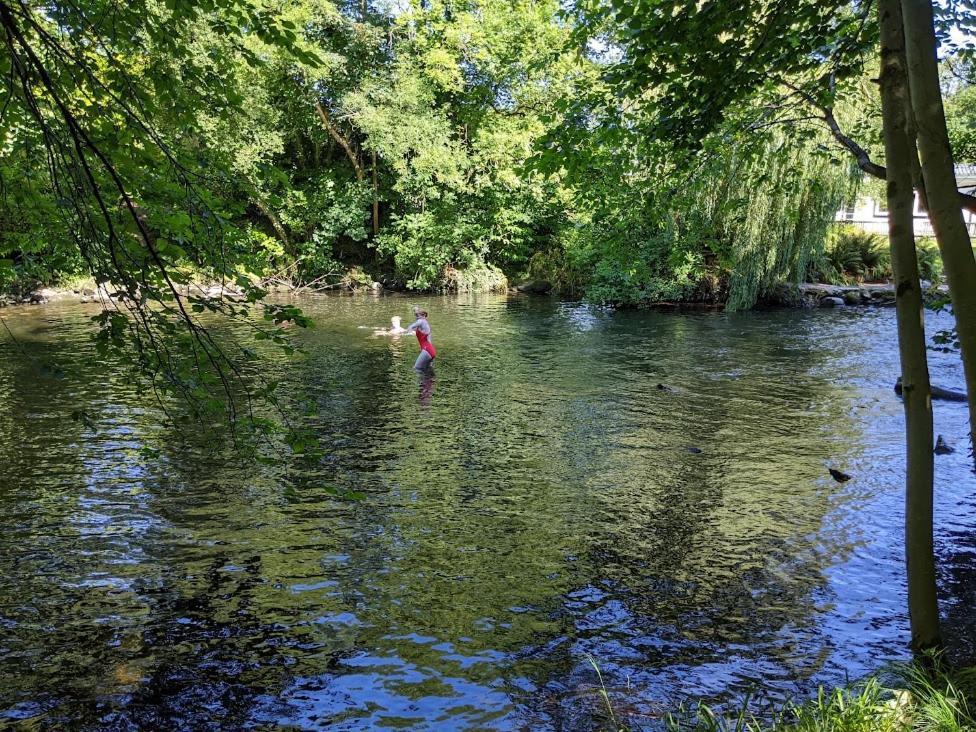Riverside Cottage Walking Distance Into Caernarfon Bagian luar foto